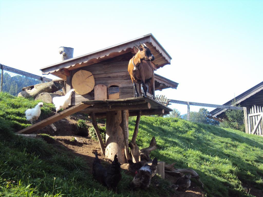 Appartements Gruenholz Itter Zewnętrze zdjęcie